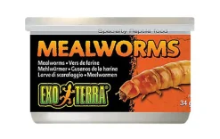 Exo Terra - Vers de Farine pour Reptiles - 34g