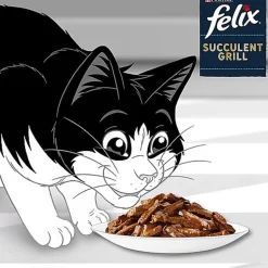 FELIX -  Pochons Succulent Grill Selection de la Campagne à la Viande en Sauce pour chats adultes  - 12X80g