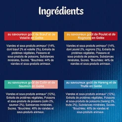 FELIX - Sachets fraîcheurs Délicieux Duos en Gelée Mixte Boeuf poulet Poisson pour Chats- 24x85g