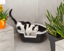 Ferplast - Bac à Litière Dama pour Chats - Noir