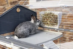 Ferplast - Cage Barn Double 100 pour Lapins - Blanc