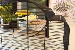 Ferplast - Cage Canto pour Oiseaux