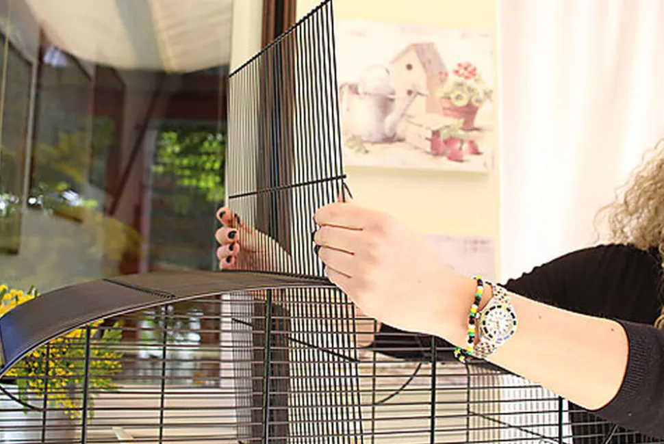 Ferplast - Cage Canto pour Oiseaux