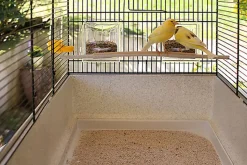 Ferplast - Cage Canto pour Oiseaux