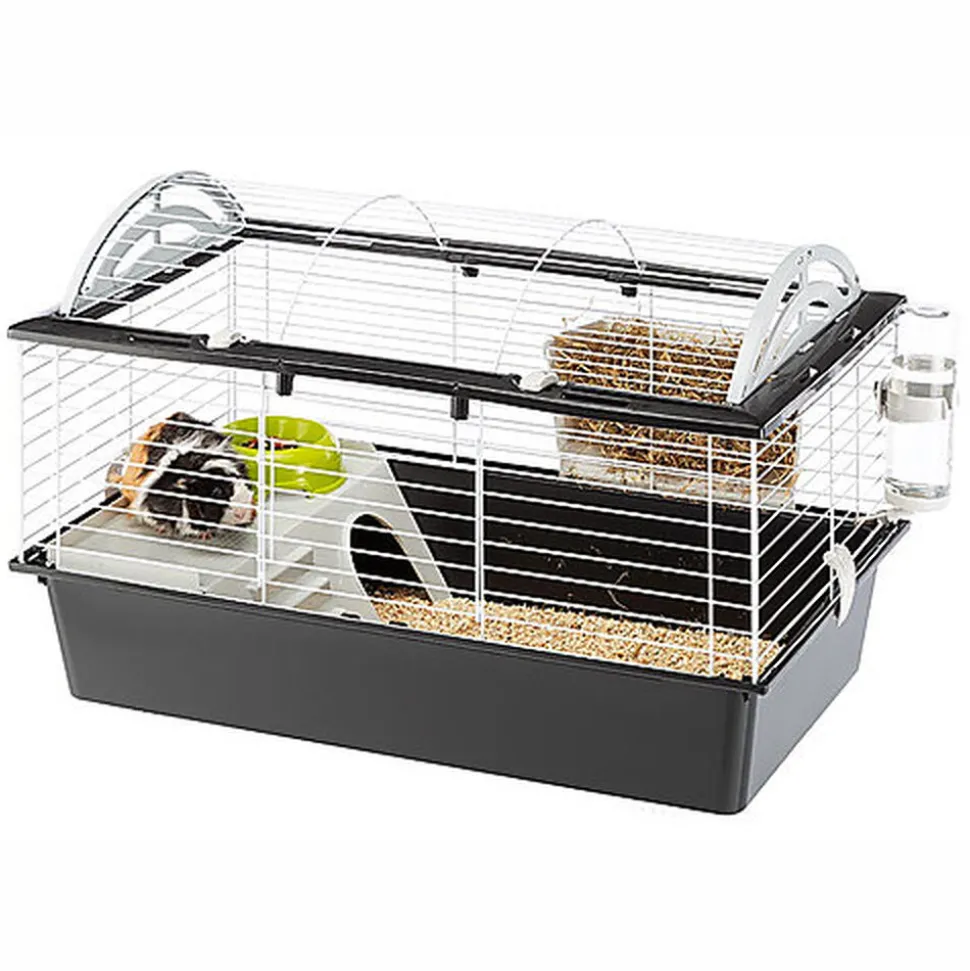 Ferplast - Cage Casita 80 pour Grands Rongeurs - 78cm