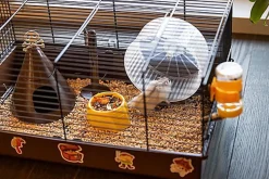 Ferplast - Cage Criceti 9 Pirates pour Hamsters