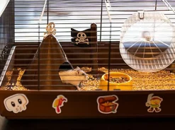 Ferplast - Cage Criceti 9 Pirates pour Hamsters