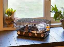 Ferplast - Cage Criceti 9 Pirates pour Hamsters