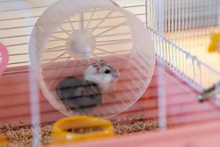 Ferplast - Cage Criceti 9 Princesse pour Hamsters