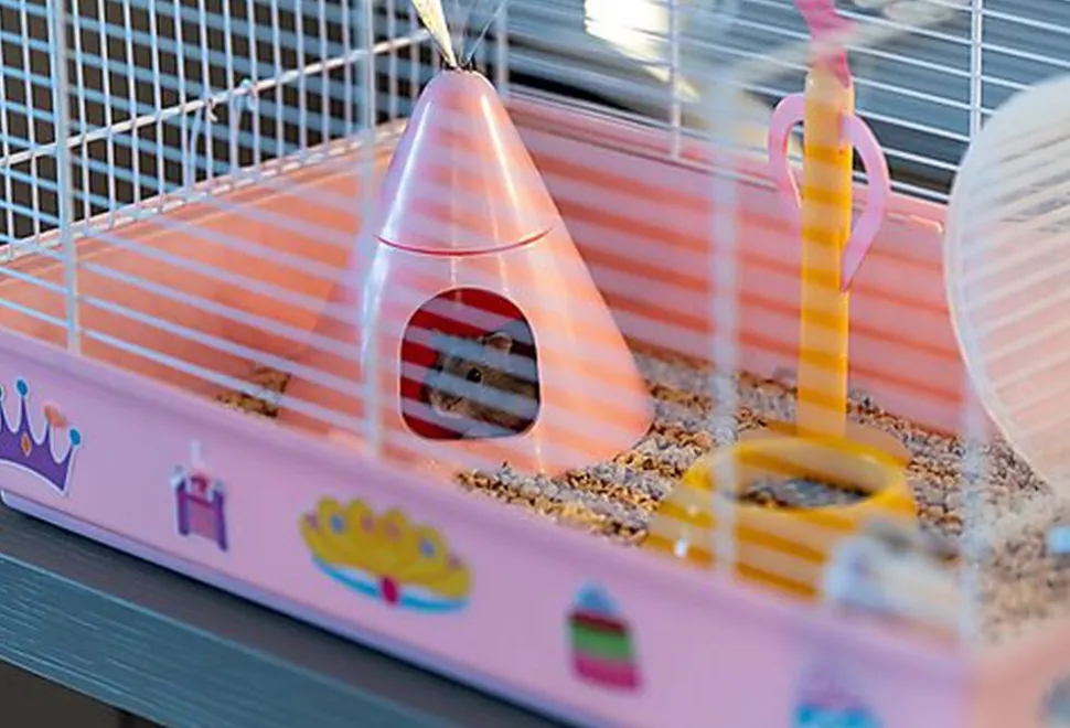Ferplast - Cage Criceti 9 Princesse pour Hamsters