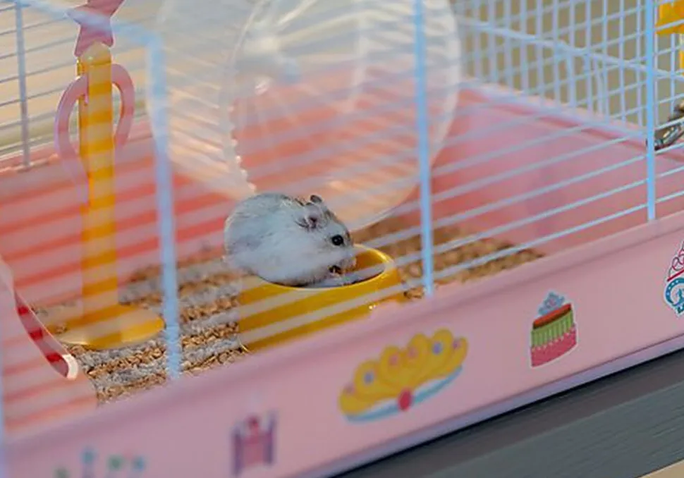 Ferplast - Cage Criceti 9 Princesse pour Hamsters