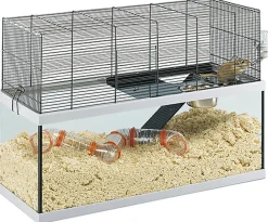 Ferplast - Cage Gabry 80 pour Rongeurs - 30x79x51cm