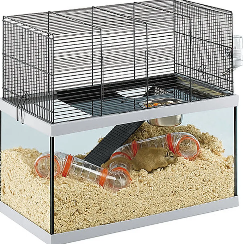 Ferplast - Cage Gabry 60 pour Rongeurs - 31x60x52cm