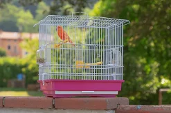 Ferplast - Cage Giusy pour Oiseaux Exotiques - Rouge