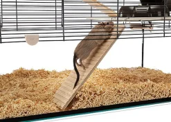 Ferplast - Cage Karat 80 pour Petits Rongeurs - 45x78x52cm