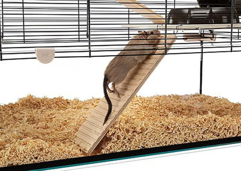 Ferplast - Cage Karat 80 pour Petits Rongeurs - 45x78x52cm