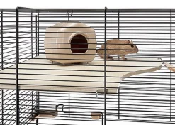 Ferplast - Cage Karat 80 pour Petits Rongeurs - 45x78x52cm