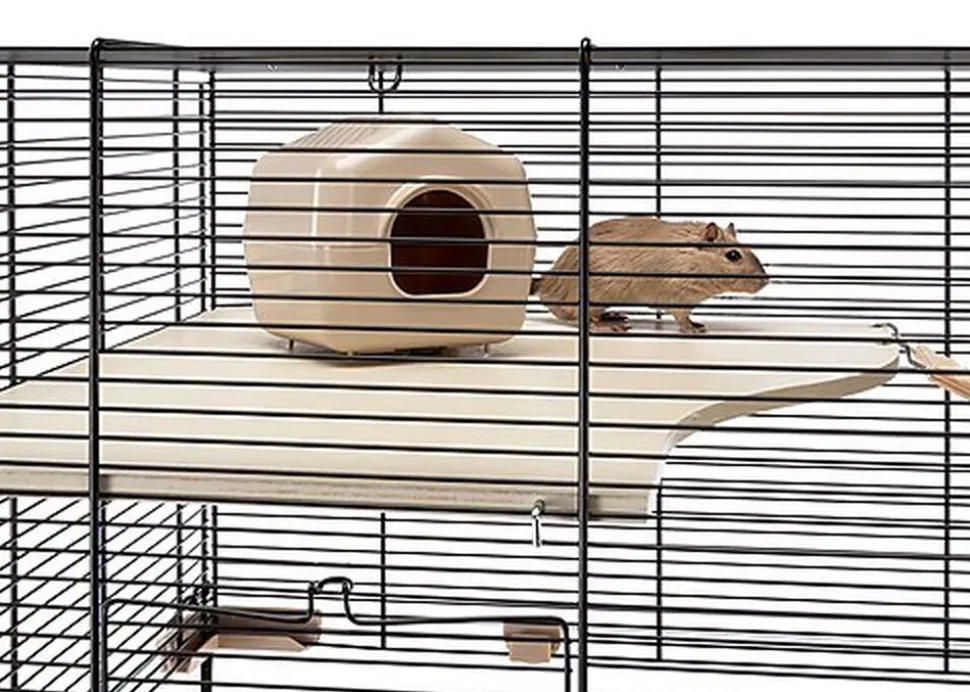 Ferplast - Cage Karat 80 pour Petits Rongeurs - 45x78x52cm