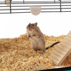 Ferplast - Cage Karat 80 pour Petits Rongeurs - 45x78x52cm