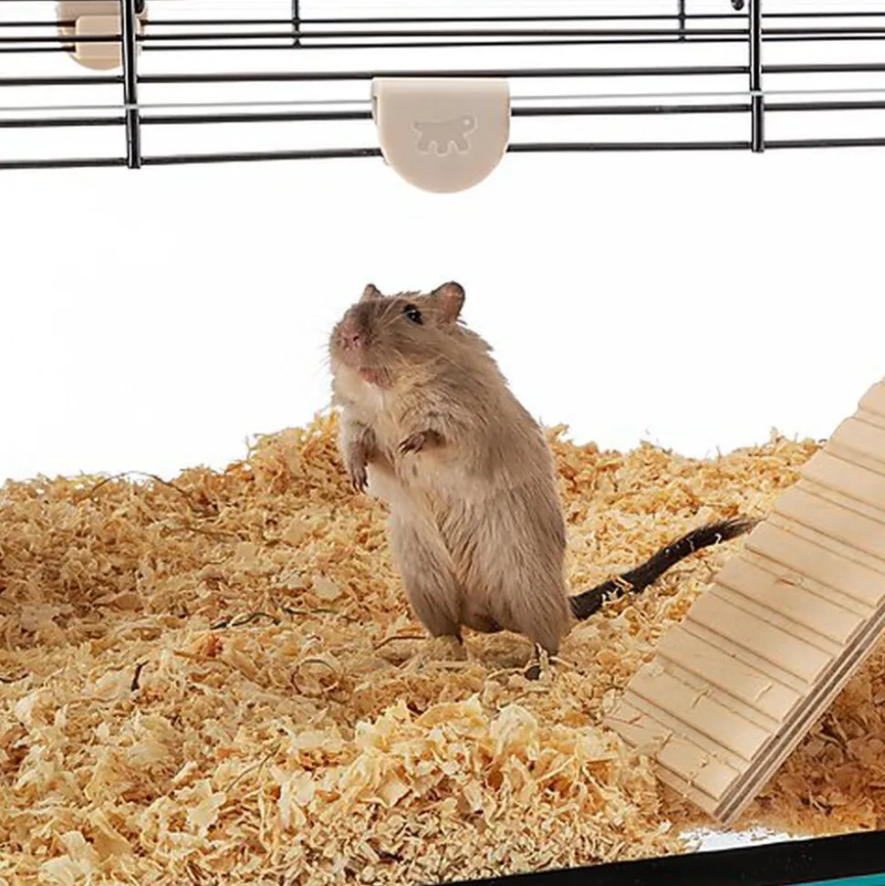 Ferplast - Cage Karat 80 pour Petits Rongeurs - 45x78x52cm