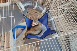 Ferplast - Cage XL pour Furet - 80x75x86,5cm