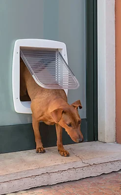 Ferplast - Chatière Swing 11 pour Chiens - Gris