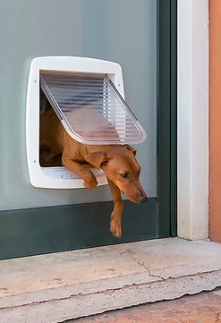 Ferplast - Chatière Swing 11 pour Chiens - Gris