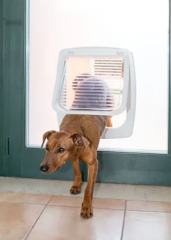 Ferplast - Chatière Swing T11 en Plastique