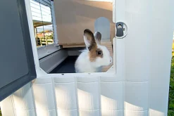 Ferplast - Clapier Grand Lodge Plus pour Rongeurs - 120