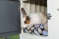 Ferplast - Clapier Grand Lodge Plus pour Rongeurs - 120