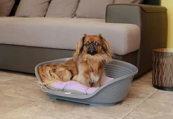 Ferplast - Corbeille Siesta Deluxe en Plastique Bordeaux