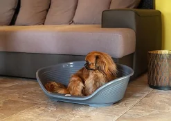 Ferplast - Corbeille Siesta Deluxe en Plastique Bordeaux