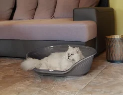 Ferplast - Corbeille Siesta Deluxe en Plastique Bordeaux