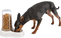 Ferplast - Distributeur Azimut 600 Eau / Nourriture pour Chiens - Blanc