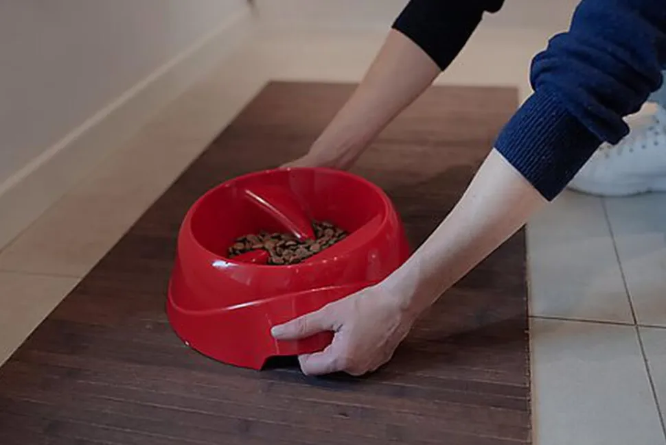 Ferplast - Ecuelle Anti-glouton Magnus Slow Rouge - L