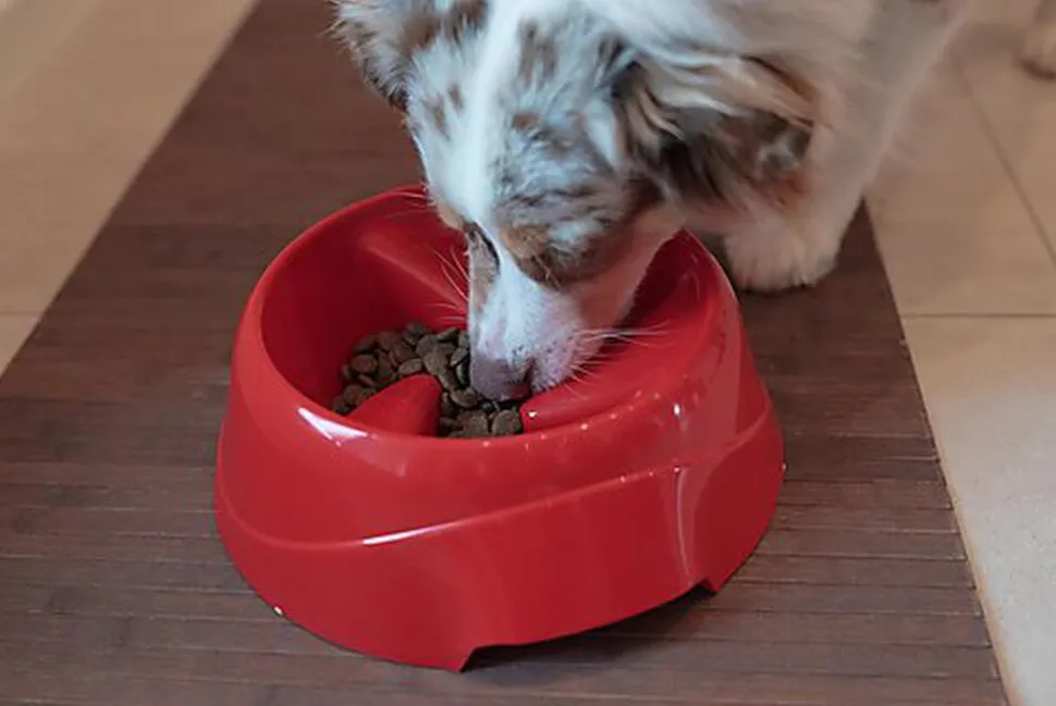 Ferplast - Ecuelle Anti-glouton Magnus Slow Rouge - L