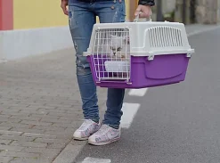 Ferplast - Panier de Transport Atlas 20 Open