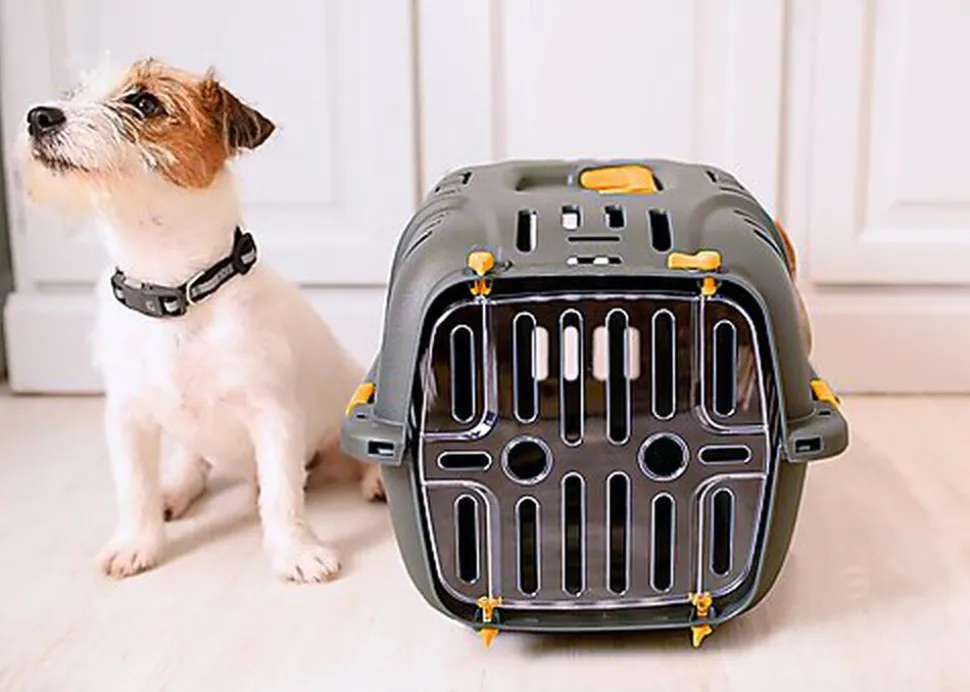 Ferplast - Panier de Transport JET 10 - Gris