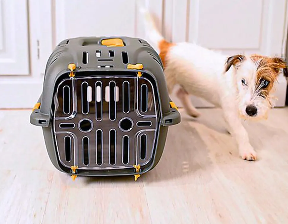 Ferplast - Panier de Transport JET 10 - Gris