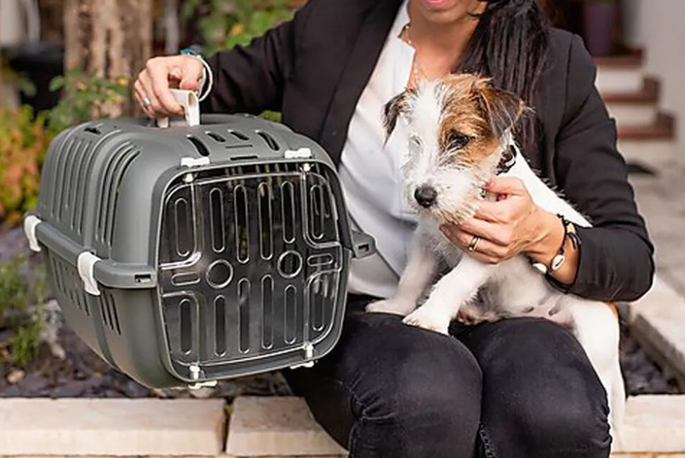 Ferplast - Panier de Transport JET 10 - Gris