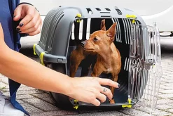 Ferplast - Panier de Transport JET 20 - Gris