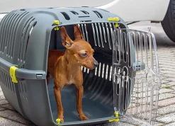 Ferplast - Panier de Transport JET 20 - Gris