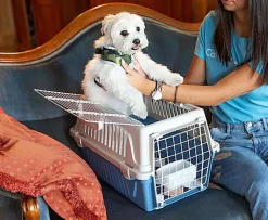 Ferplast - Panier de Transport Atlas 10 Open - Noir