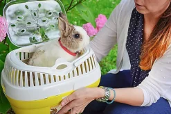 Ferplast - Transport Aladino Vert pour Rongeurs - L