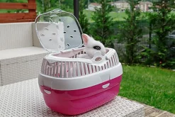 Ferplast - Transport Aladino Fuchsia pour Rongeurs - L