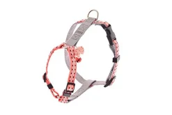 Ferribiella - Ensemble Laisse + Harnais Réglable Gris pour Chats