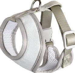 Flamingo - Harnais Small Dog Vert pour Chiens