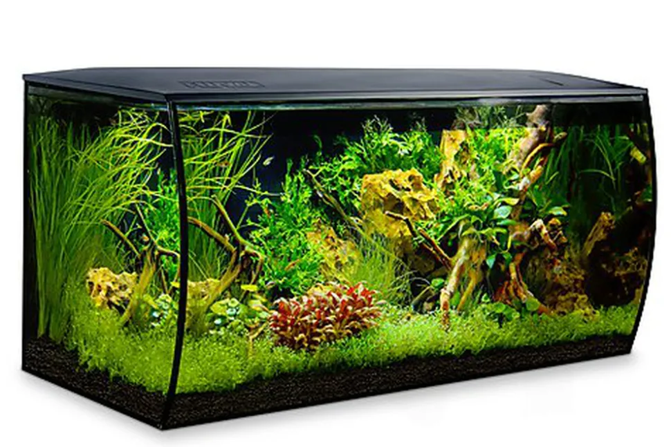 Fluval - Aquarium Flex Noir - 123L