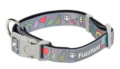 FuzzYard - Collier Coachella pour Chien - L
