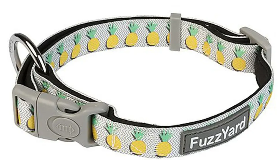 FuzzYard - Collier Piña Colada pour Chiens